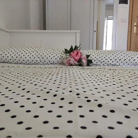 Miamare 1 Min Dalla E Terrazzo Di Clickaffitti *